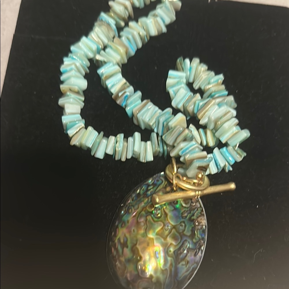Turquoise and Abalone Shell Necklace